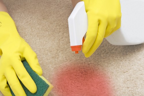Area rug being cleaned in a bright living room