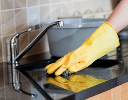 Pet stain odour removal on carpet with cleaning supplies