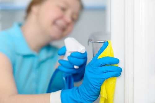 Residential carpet care in a family living space