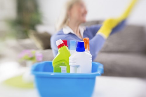 Clean carpets after steam carpet cleaning treatment