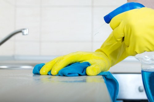 Professional pet stain odour removal in a living room