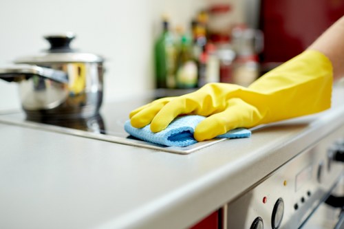 Professional deep cleaning of a leather sofa