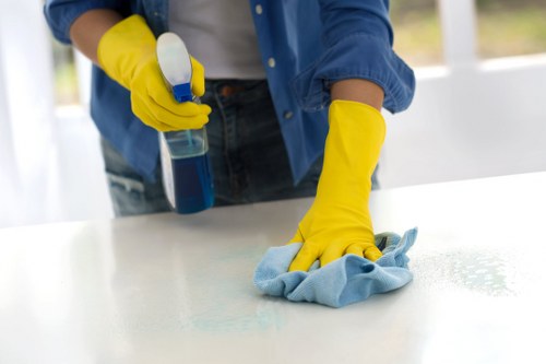 Professional carpet cleaning removing stains from a hallway rug