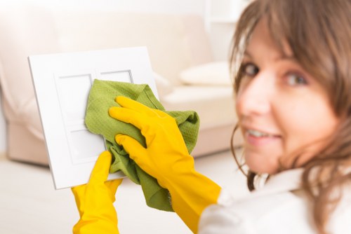 Enzyme cleaner being used for pet stain odour removal